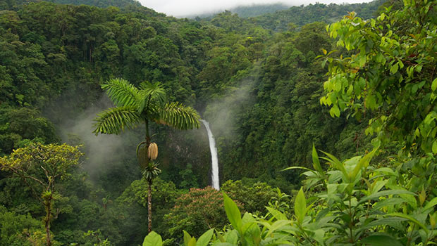 Cara Kosta Rika Konservasi Lingkungan