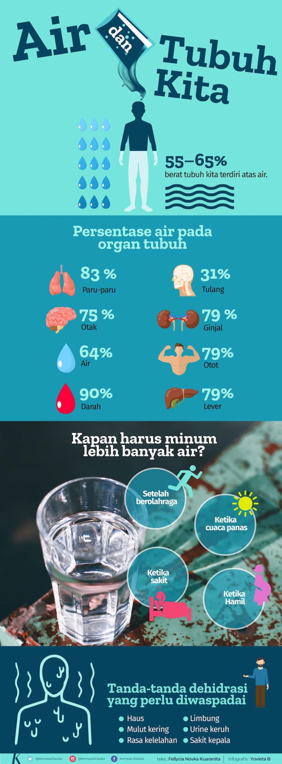 Infografik Air dan Tubuh Kita