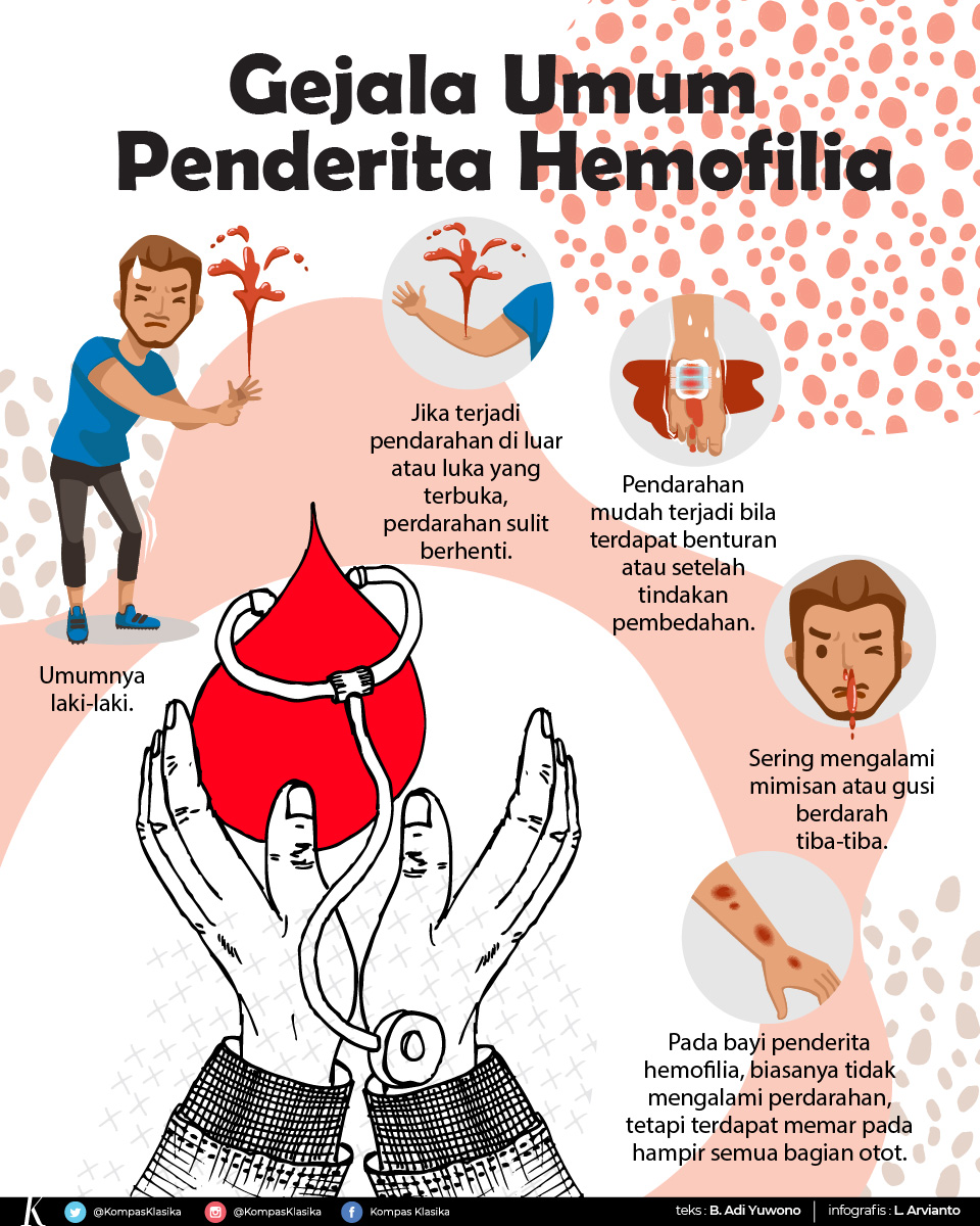 infografik hemofilia adalah