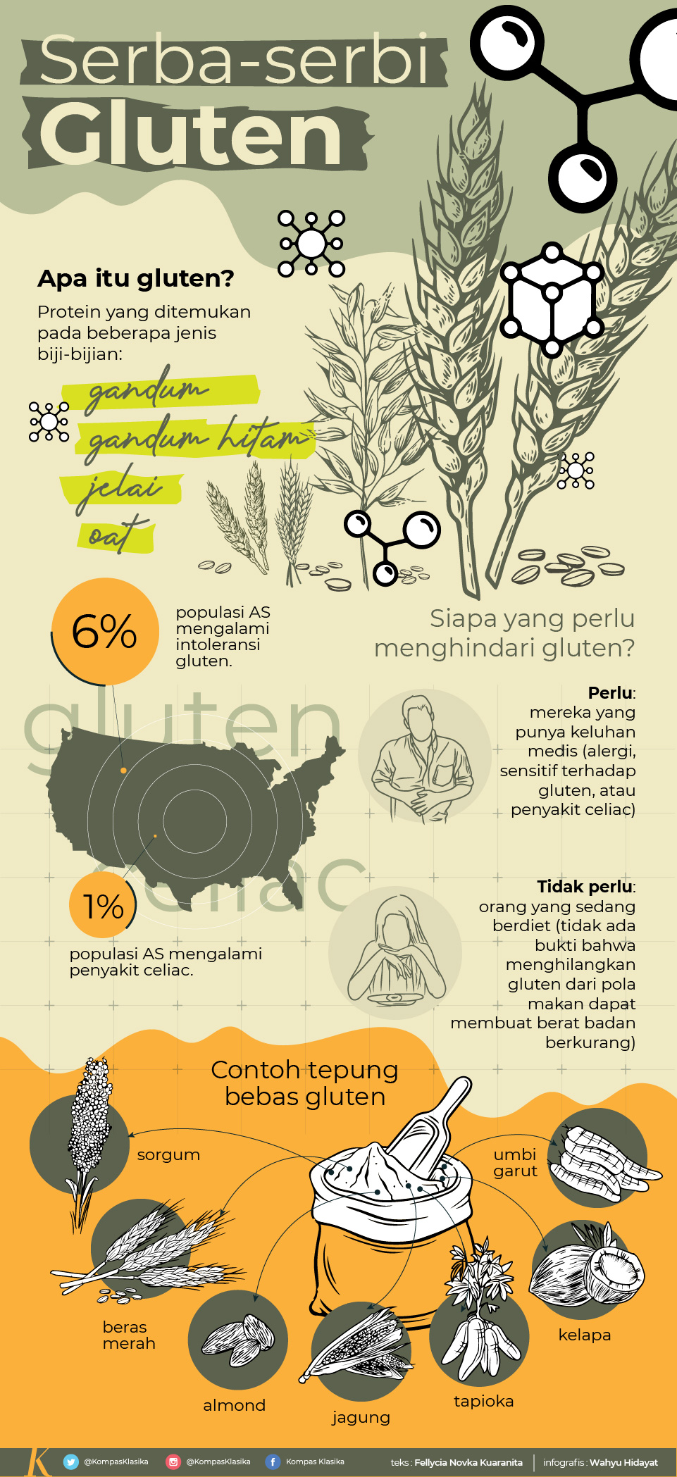 Infografik Alergi Gluten
