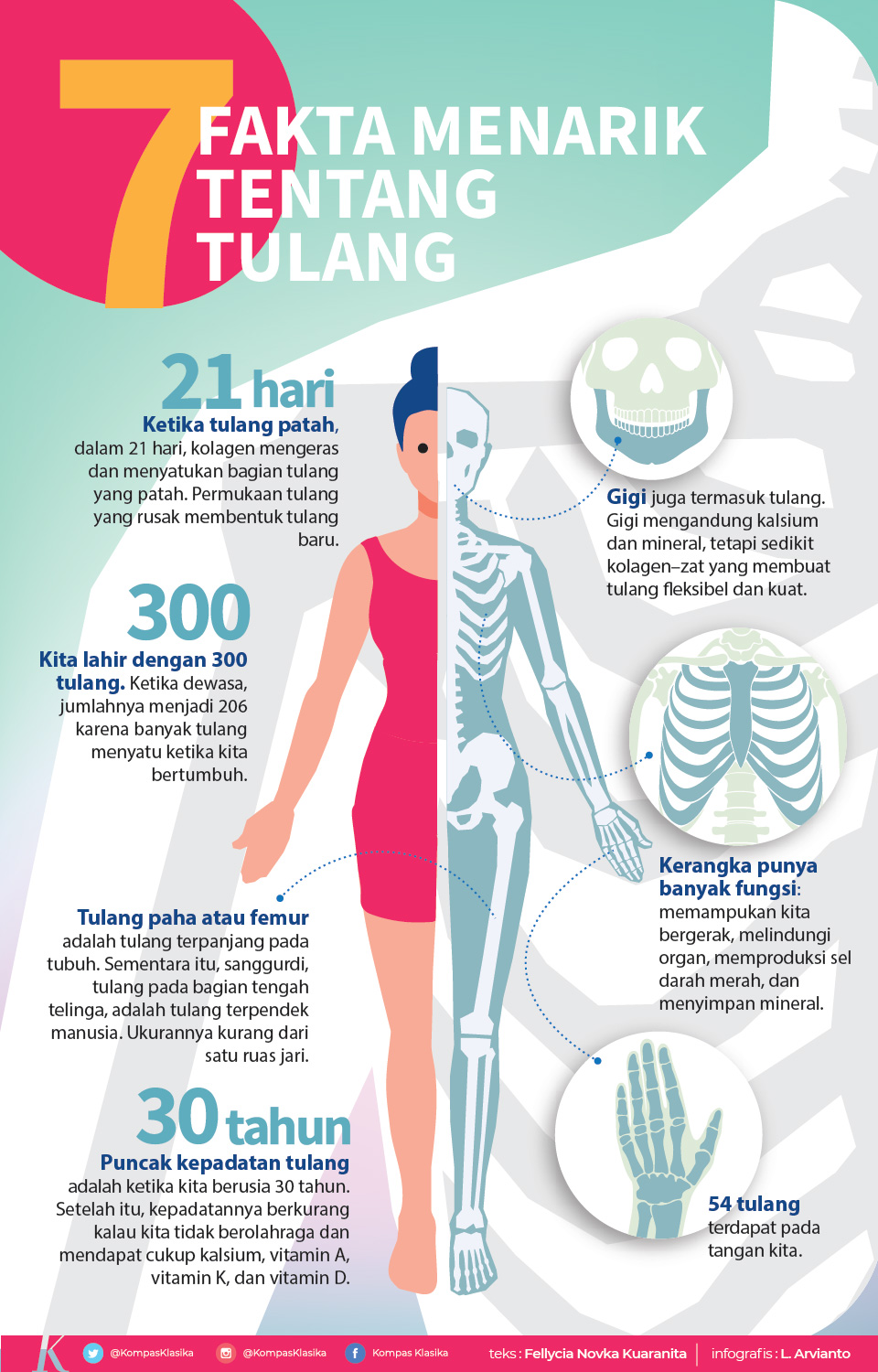 Infografik kesehatan tulang