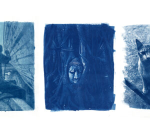Dari kiri ke kanan: Old Man and His Paddle, Buddha Roots, dan Stray Cats, karya Ochie Winaga yang dihasilkan dari teknik cyanotype.