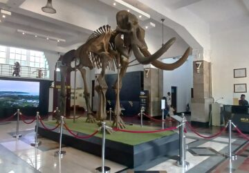 Museum Geologi Bandung